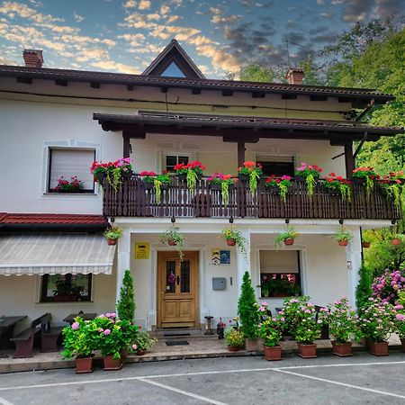 Вилла Domacija Bubec Илирска-Бистрица Экстерьер фото