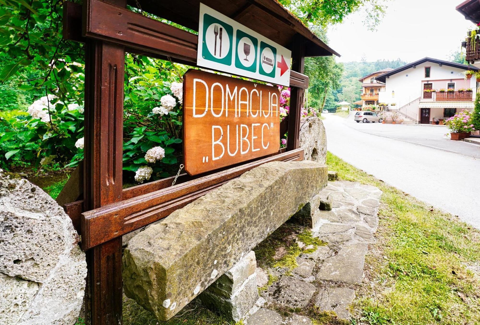 Вилла Domacija Bubec Илирска-Бистрица Экстерьер фото
